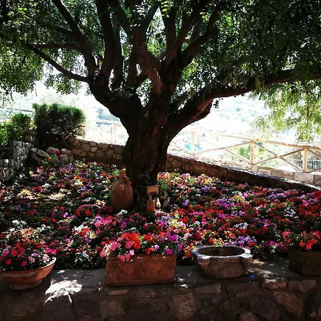 Agriturismo Nonno Luigino Vico Equense