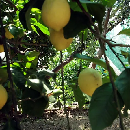 Agriturismo Nonno Luigino Vico Equense